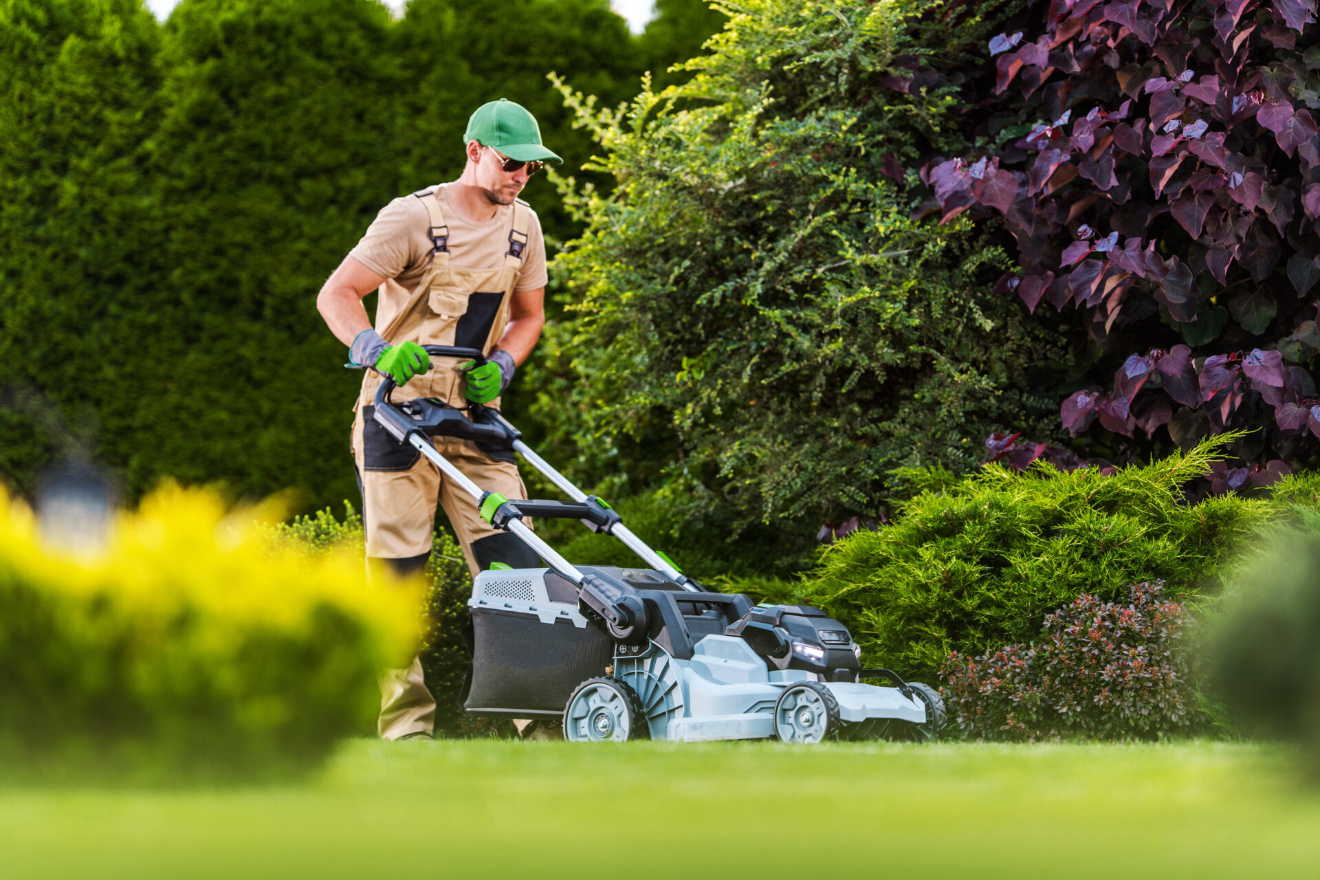 Best Lawn Guy MN